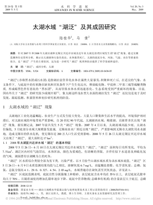 太湖水域_湖泛_及其成因研究