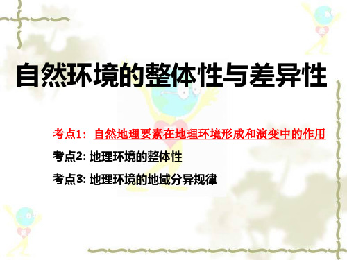 自然环境的整体性与差异性(完整版)
