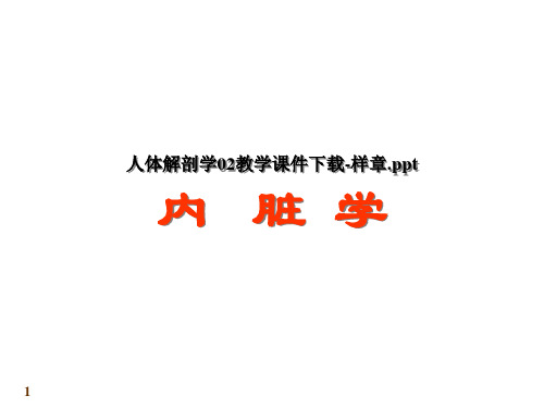 人体解剖学02教学课件下载样章.ppt
