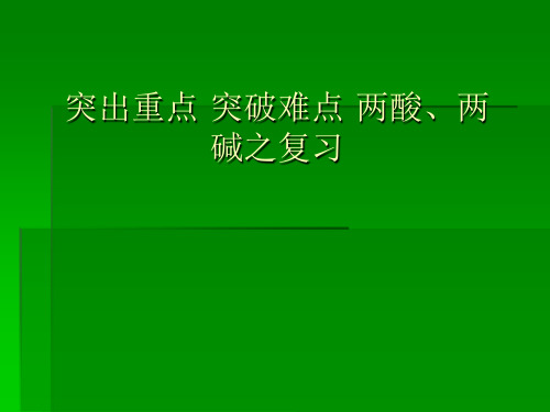 中考化学总复习课件-两酸、两碱 (共25张PPT)