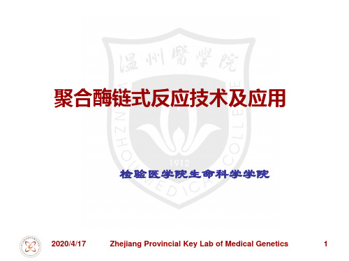 分子生物学PCR技术课件