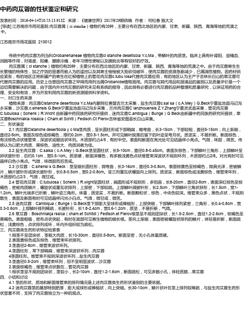 中药肉苁蓉的性状鉴定和研究