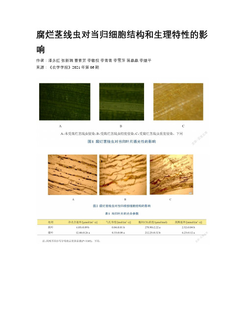 腐烂茎线虫对当归细胞结构和生理特性的影响