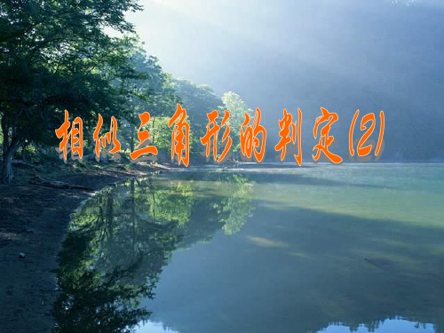 相似三角形的判定(2)Z