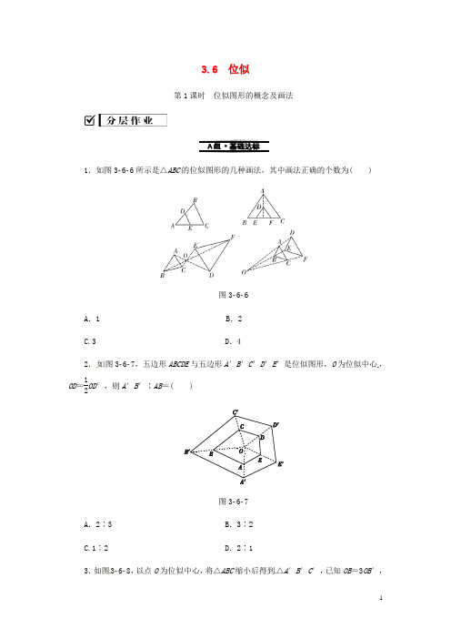 九年级数学上册3.6位似第1课时位似图形的概念及画法分层作业新湘教
