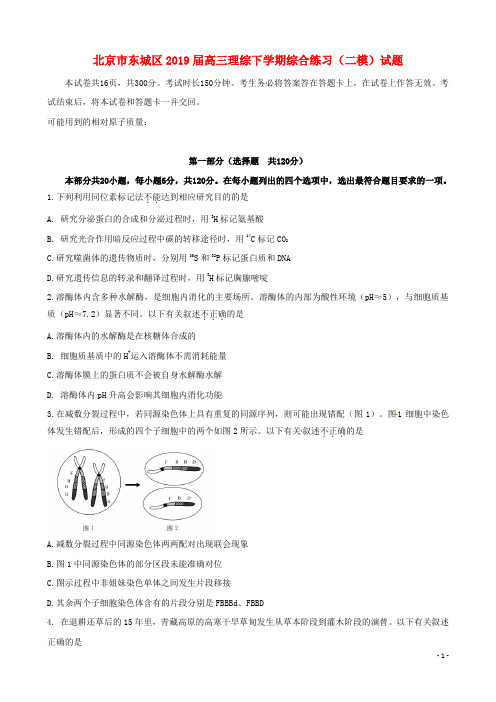 北京市东城区2019届高三理综下学期综合练习(二模)试题(含答案)