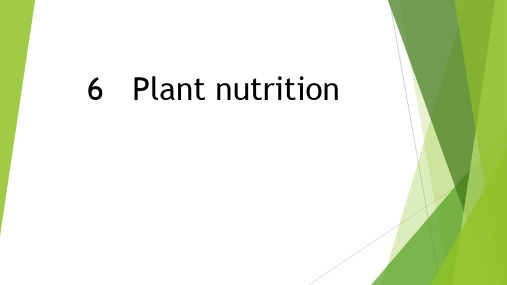 IGCSE-biology-chapter 6