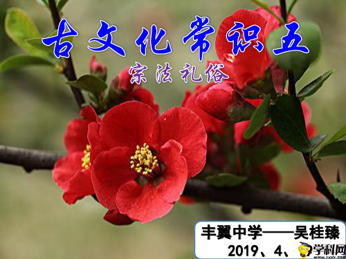 河北省南宫市丰翼中学高中语文复习课件：古代文化五宗法礼俗(共31张PPT)