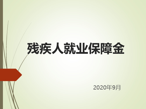 2020年残疾人就业保障金征缴业务培训