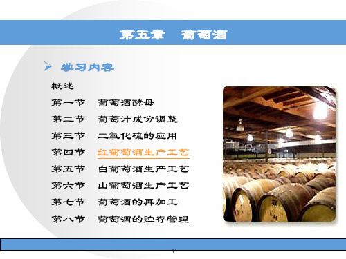 酿造学第五章葡萄酒ppt课件
