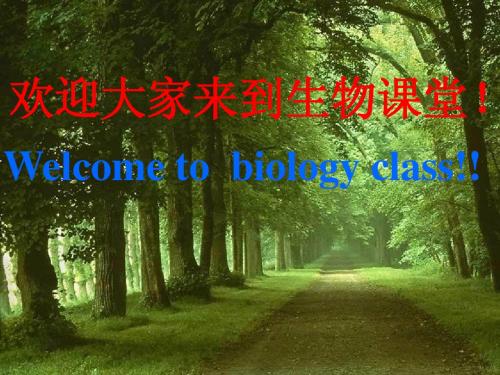 湖北省十堰市丹江口市习家店中学七年级生物上册教学课件：第1单元 第2章 生物圈是所有生物的家