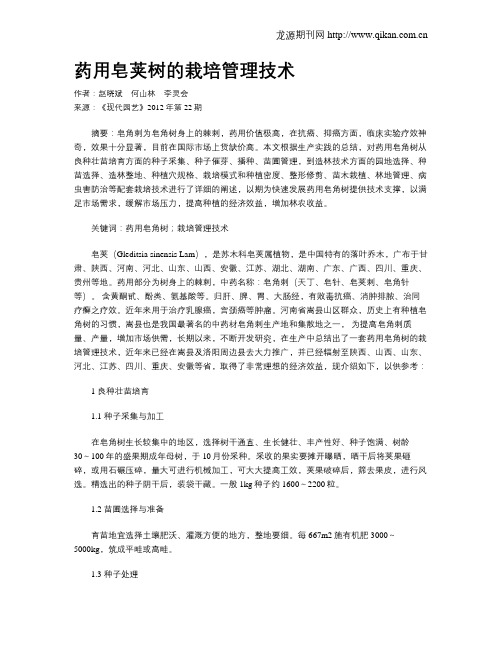 药用皂荚树的栽培管理技术
