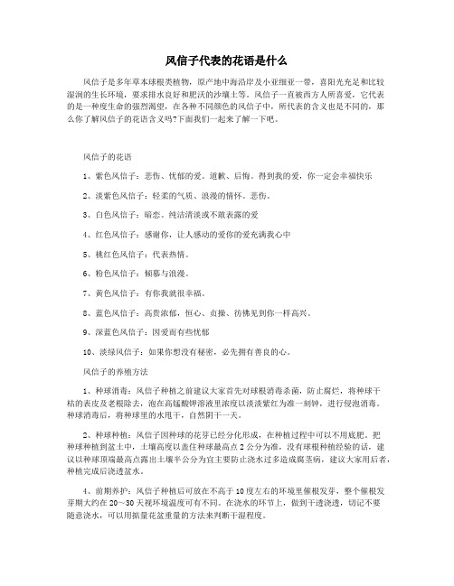 风信子代表的花语是什么