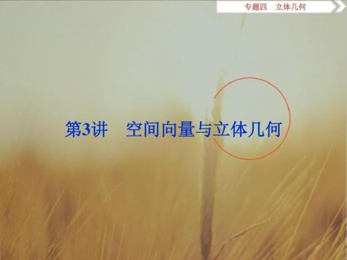 2017高考数学理新课标版考前冲刺复习课件：第2部分专