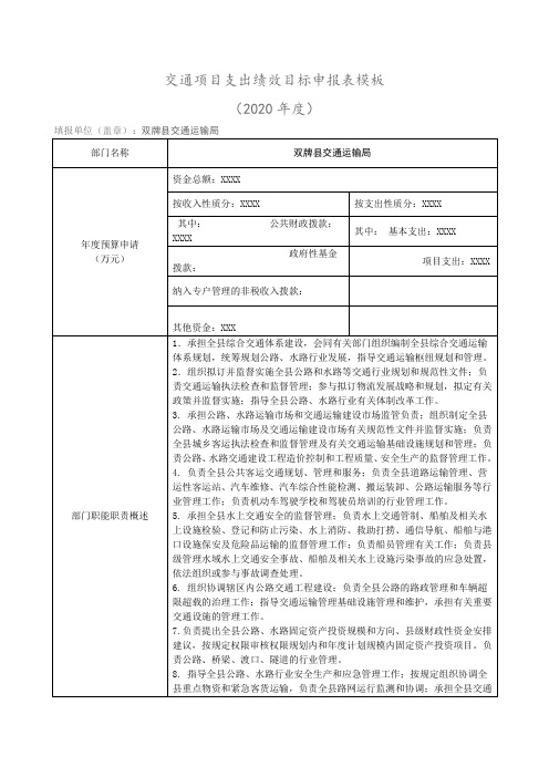 交通项目支出绩效目标申报表模板