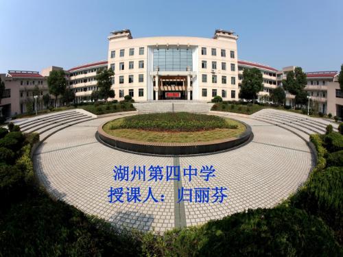 6.3 坐标平面内的图形变换 教案1(数学浙教版八年级上册).