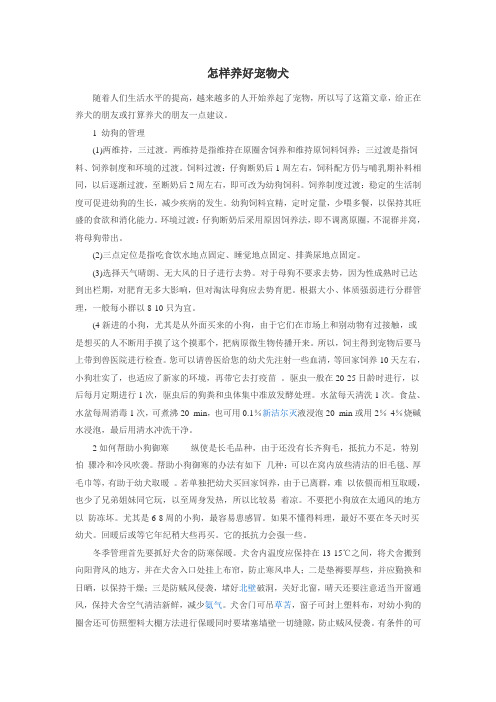 如何养好宠物狗