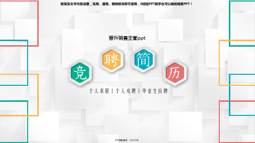 晋升销售主管ppt