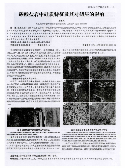 碳酸盐岩中硅质特征及其对储层的影响