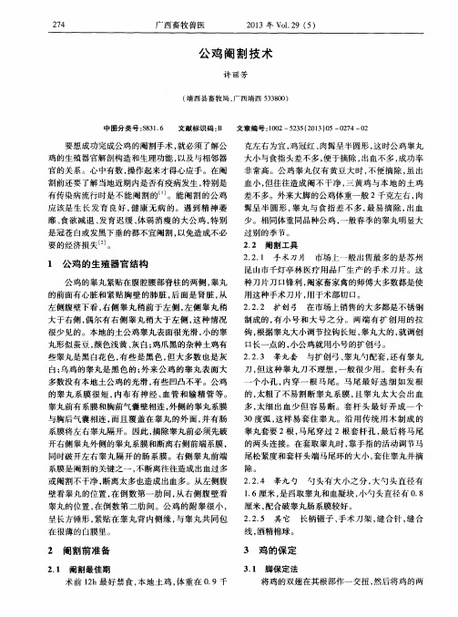公鸡阉割技术