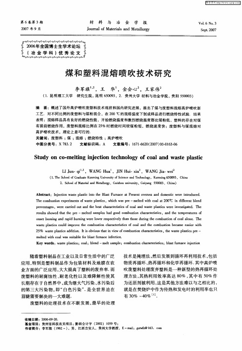 煤和塑料混熔喷吹技术研究