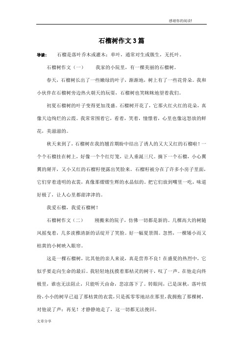 石榴树作文3篇