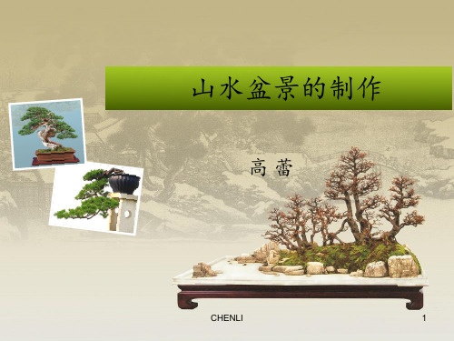 项目六山水盆景的制作PPT课件
