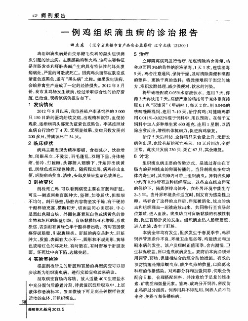 一例鸡组织滴虫病的诊治报告