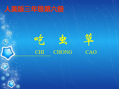 《吃虫草》美术教材课件PPT