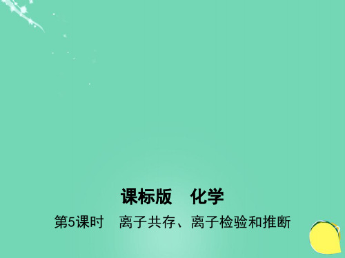 (新课标)2017年高考化学一轮复习考点3离子反应、离子方程式(第5课时)离子共存、离子检验和推断课件