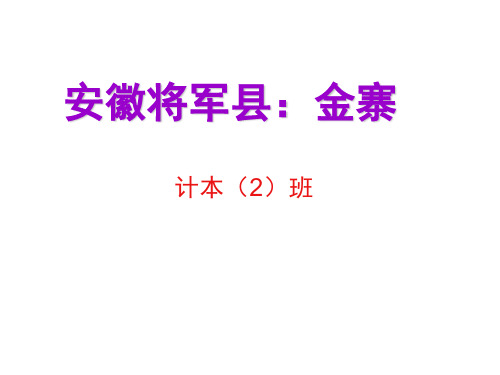 安徽将军县：金寨