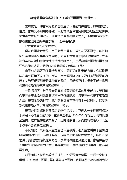 盆栽茉莉花怎样过冬？冬季护理需要注意什么？