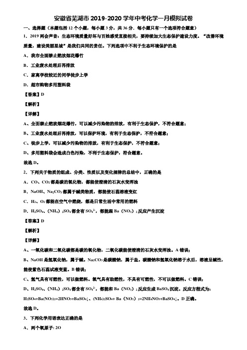 安徽省芜湖市2019-2020学年中考化学一月模拟试卷含解析