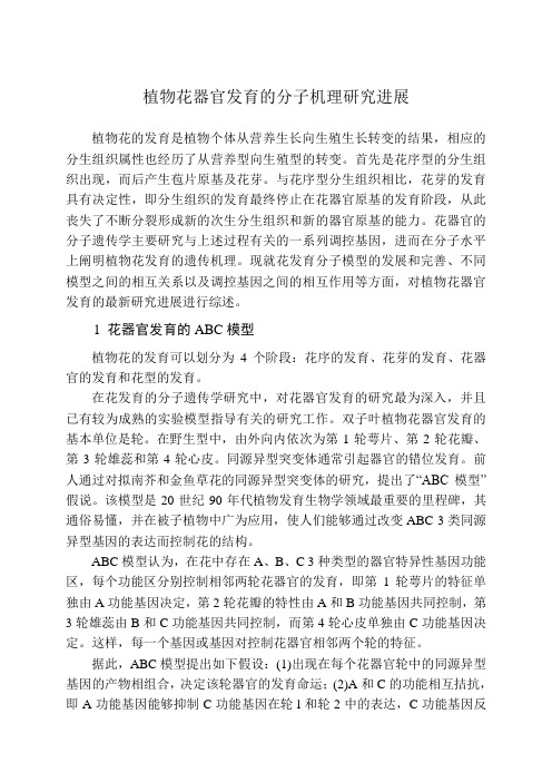 植物花发育的分子机理