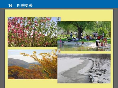 青岛版科学六上《四季交替》PPT课件