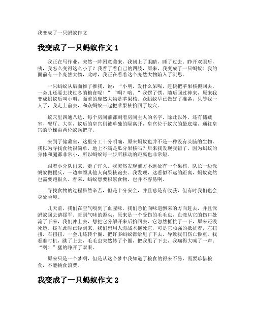 我变成了一只蚂蚁作文