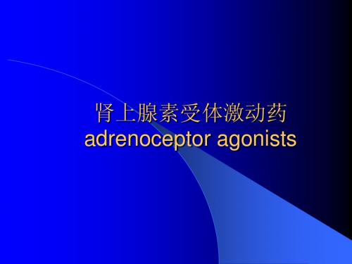肾上腺素受体激动药