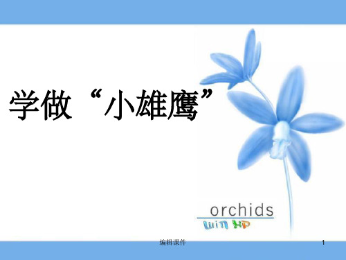 小学品德与生活二年级上册《学做“小雄鹰》