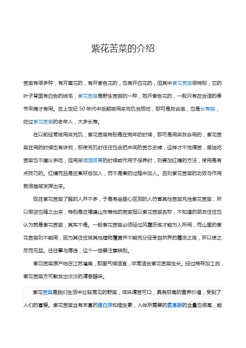 紫花苦菜的介绍及功用