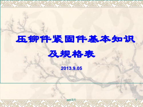 压铆件基本规格表全解  ppt课件