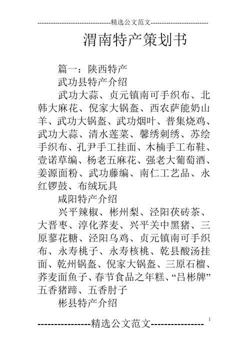 渭南特产策划书