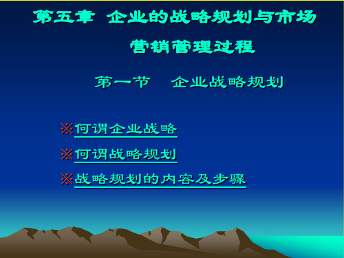 第五章企业战略规划与市场营销管理过程.ppt