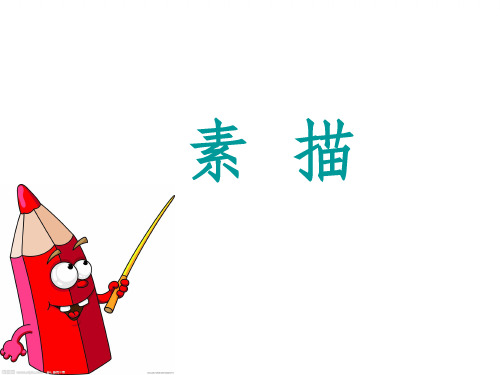 《素描基础入门》PPT课件