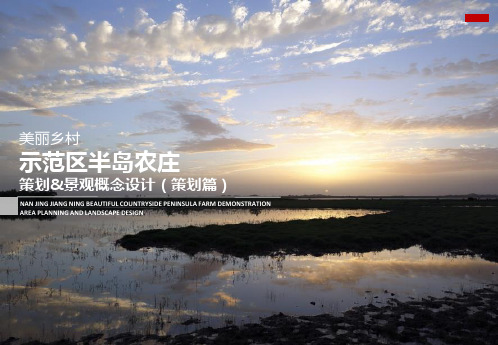 美丽乡村示范区水库项目策划