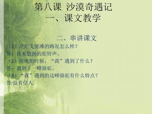 《沙漠奇遇记》ppt课件完美版
