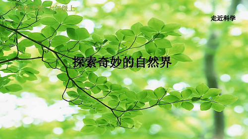 七年级科学上册 走近科学 1 探索奇妙的自然界习题课件 华东师大级上册自然科学课件