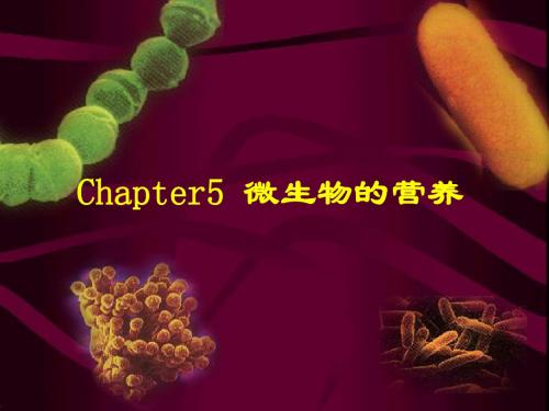 Chapter5 微生物的营养 PPT课件