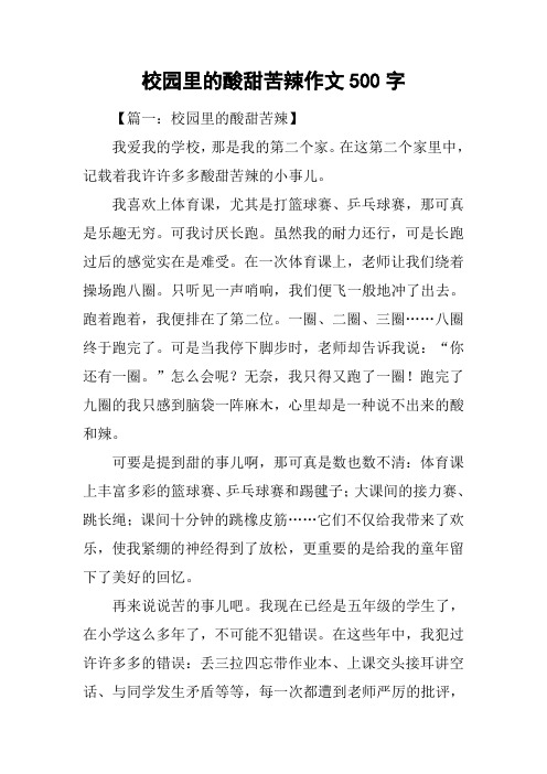 校园里的酸甜苦辣作文500字