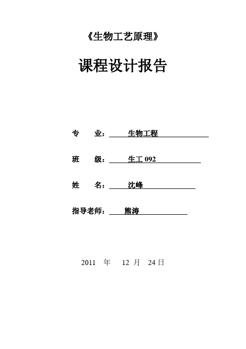 发酵罐设计报告
