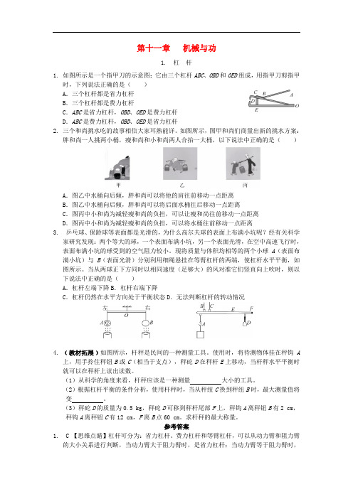 【能力培优】八年级物理下册 第十一章 机械与功专题训练 教科版